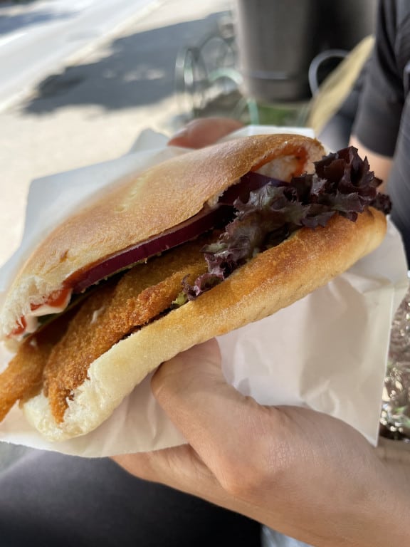 Wien Bratislava Fahrrad