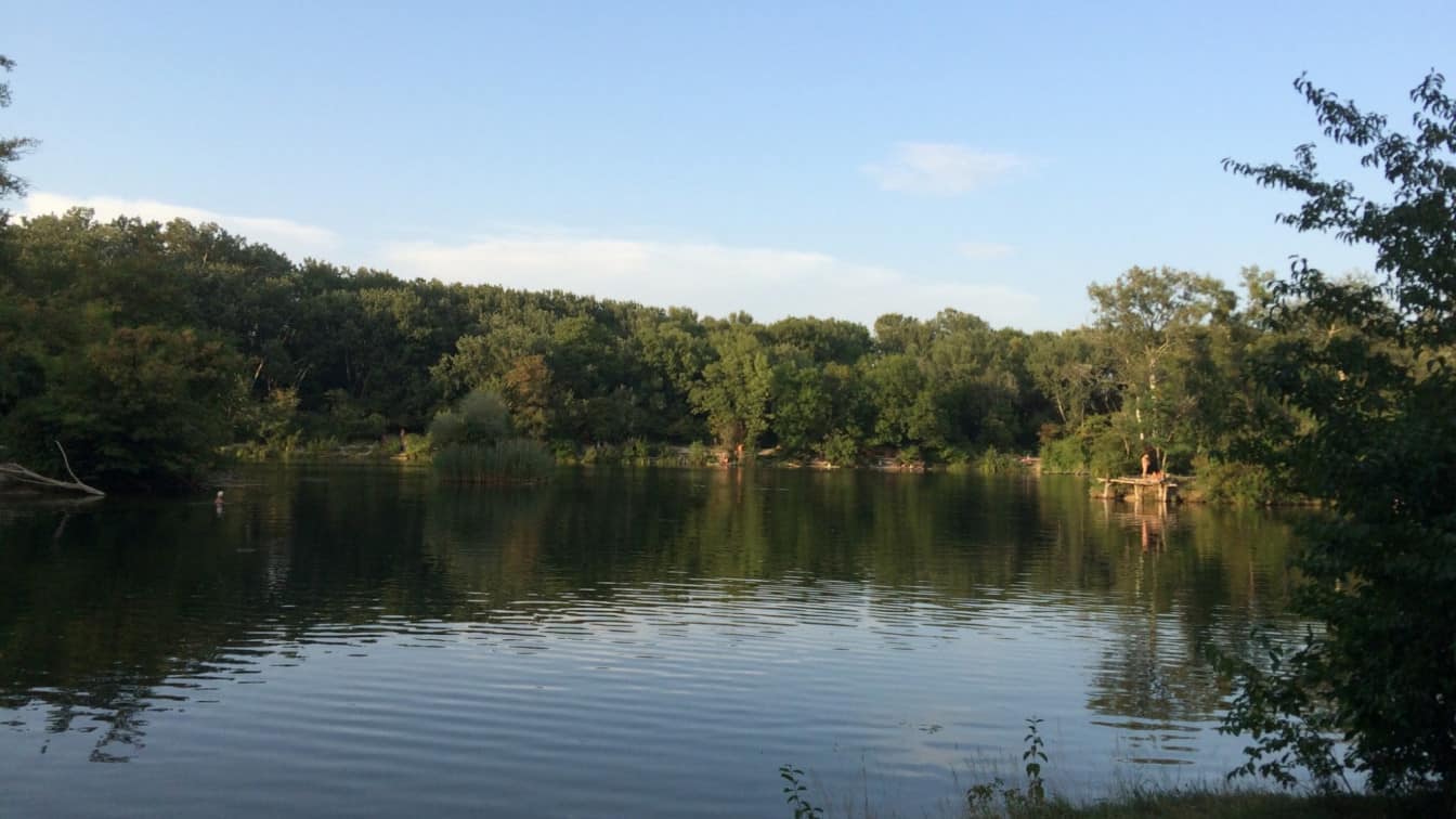 Teiche und Seen in Wien Dechantlacke