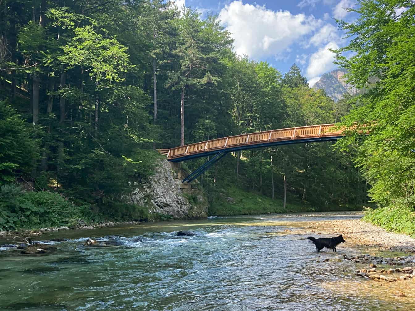 Der Wiener Wasserleitungsweg im Höllental