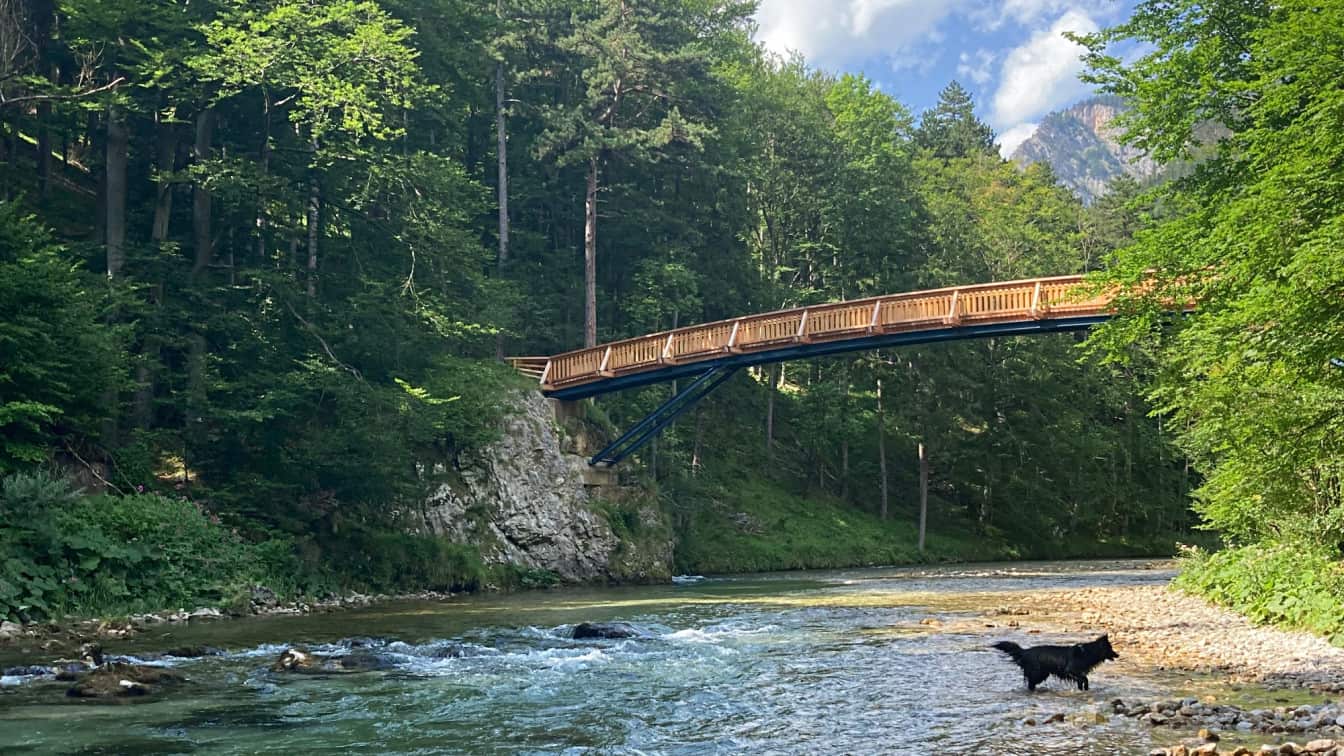 Der Wiener Wasserleitungsweg im Höllental