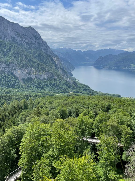 Ausblick vom Baumwipfelpfad im Salzkammergut