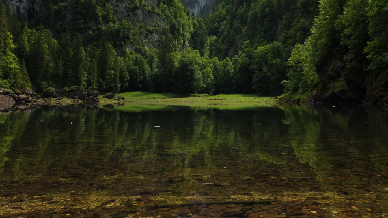 Mystischer Blick auf den Kammersee im Ausseerland – glasklares Wasser, umgeben von steilen, bewaldeten Felswänden und dichter Naturkulisse im Salzkammergut, ideal für Naturfreunde und Wanderer.