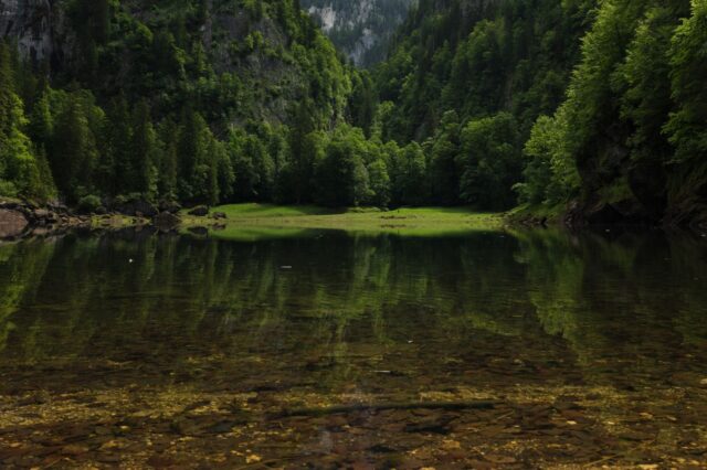 Mystischer Blick auf den Kammersee im Ausseerland – glasklares Wasser, umgeben von steilen, bewaldeten Felswänden und dichter Naturkulisse im Salzkammergut, ideal für Naturfreunde und Wanderer.