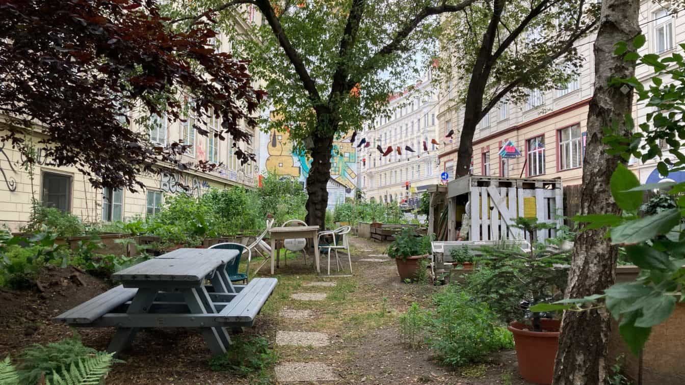 Salatpiraten Gemeinschaftsgarten