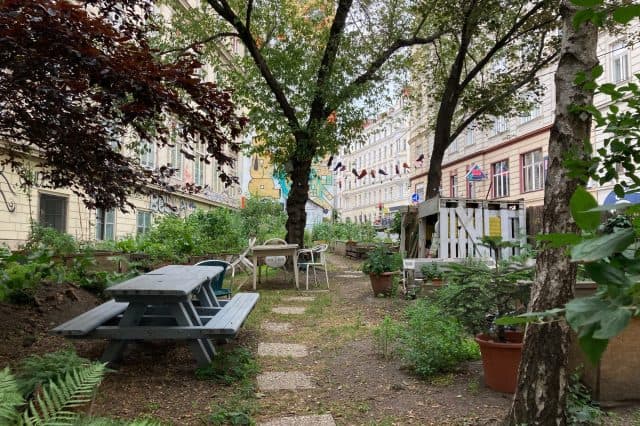 Salatpiraten Gemeinschaftsgarten