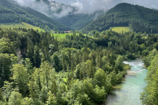 Fluss Steyr in Molln