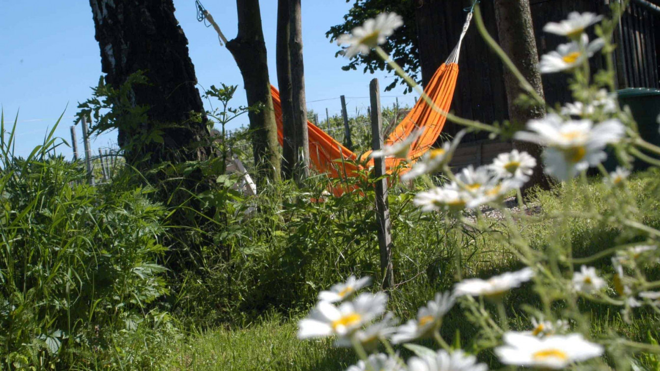 Heuriger Weinhandwerk Wien