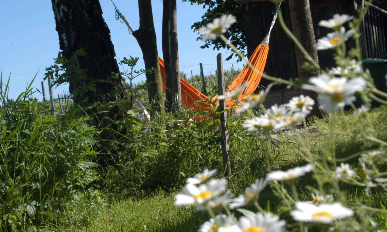 Heuriger Weinhandwerk Wien