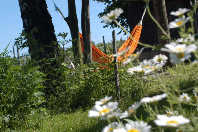 Heuriger Weinhandwerk Wien