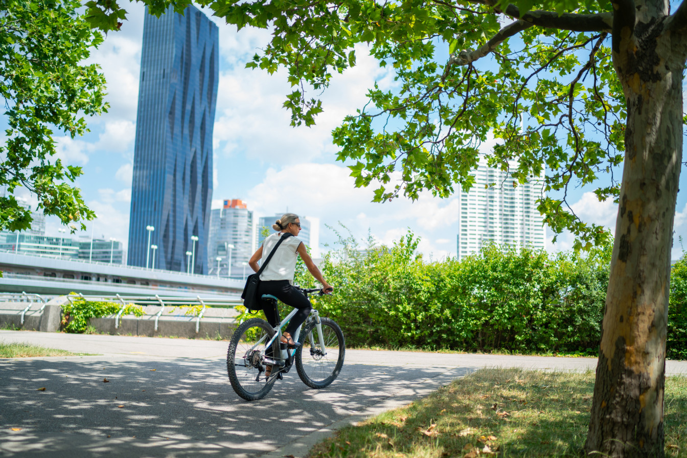 Radtouren Wien Herbst