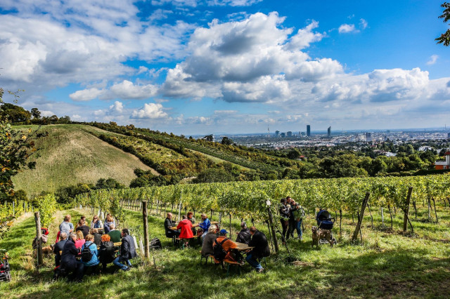 Wiener Weinwandertag Heuriger Aussicht