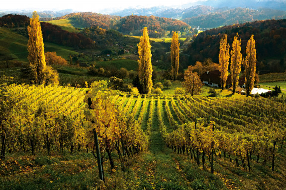 Weinwandern Steiermark