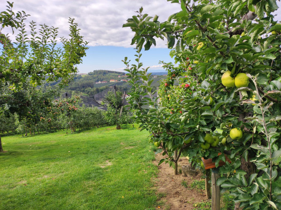 steirische Apfelstraße