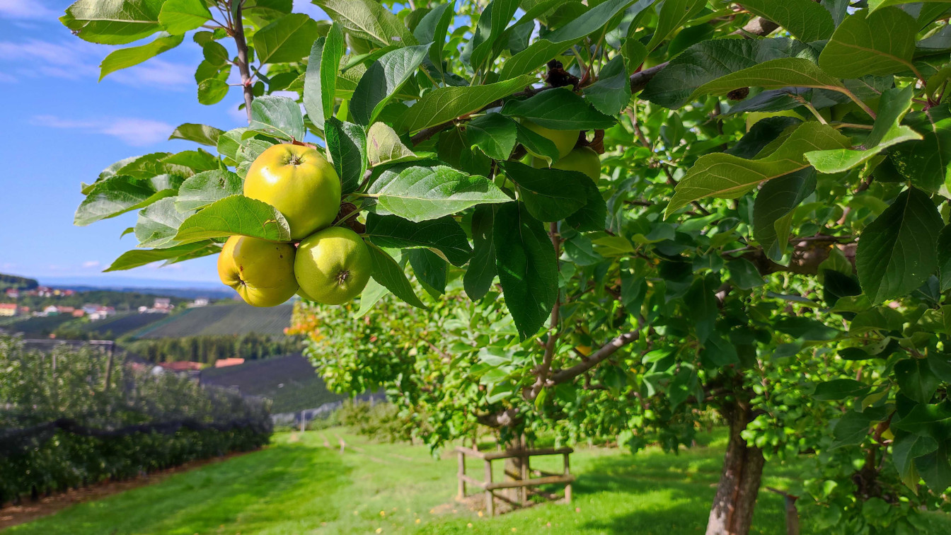 Steirische Apfelstraße