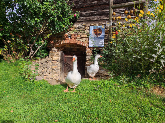 Apfelstraße Haus des Apfels