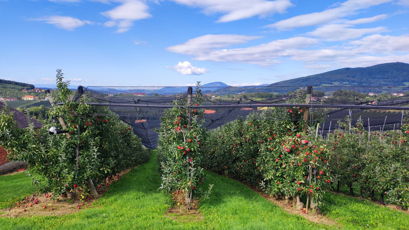 steirische Apfelstraße