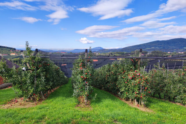 steirische Apfelstraße