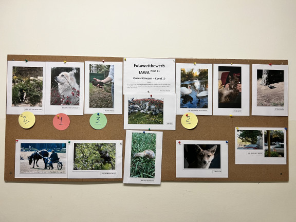 Integrationshaus Wien