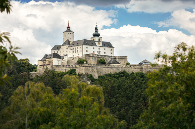 Die Burg Forchtenstein im Burgenland hinter einem Wald