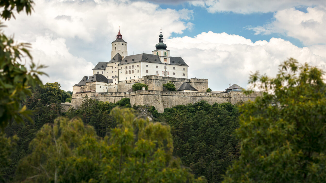 Die Burg Forchtenstein im Burgenland hinter einem Wald