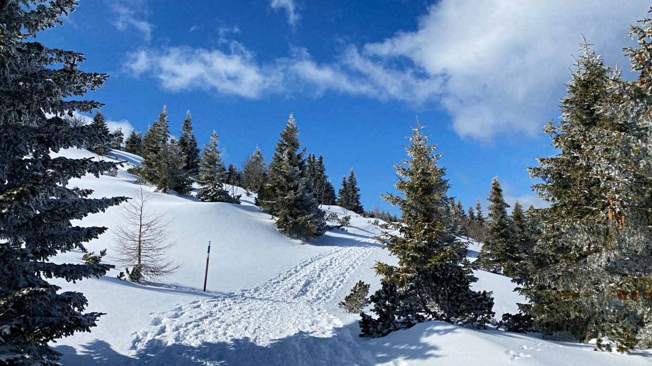 Schneeschuhwandern am Raxplateau