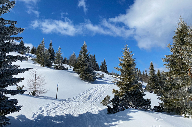 Schneeschuhwandern am Raxplateau