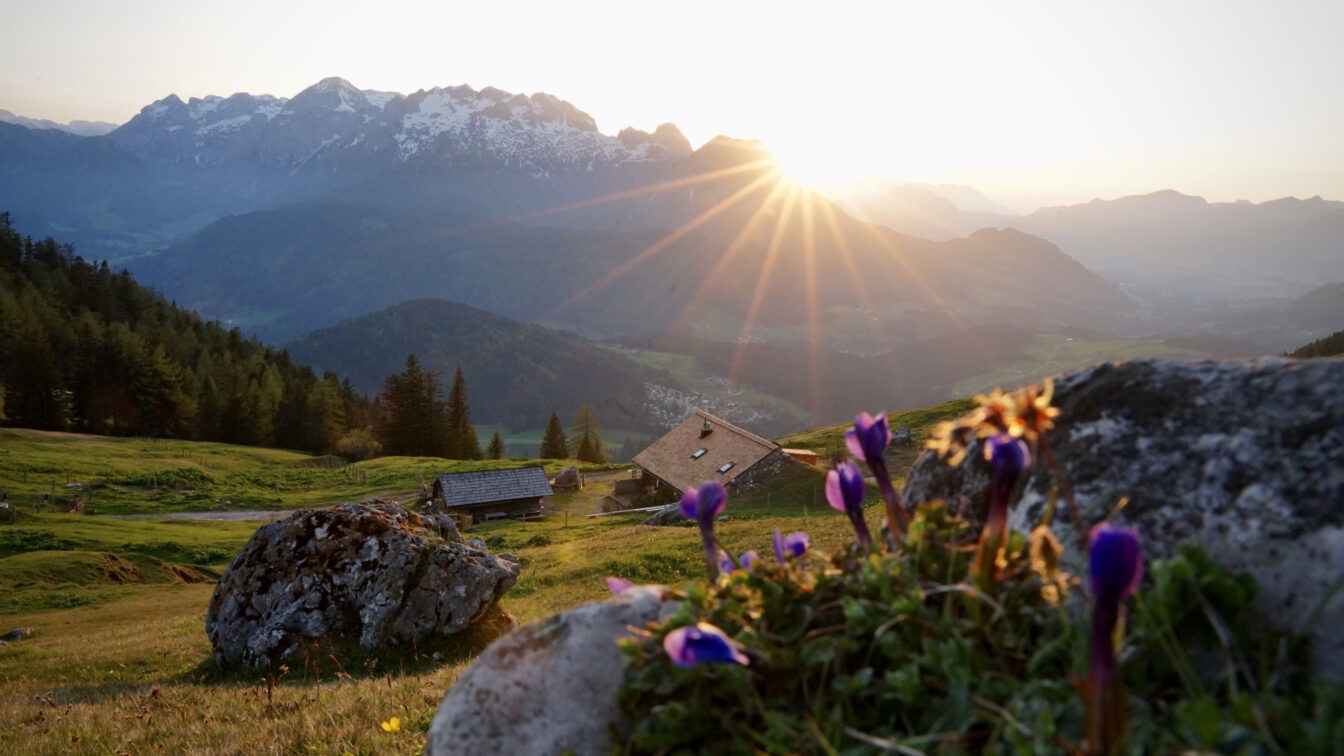 Stuhlalm