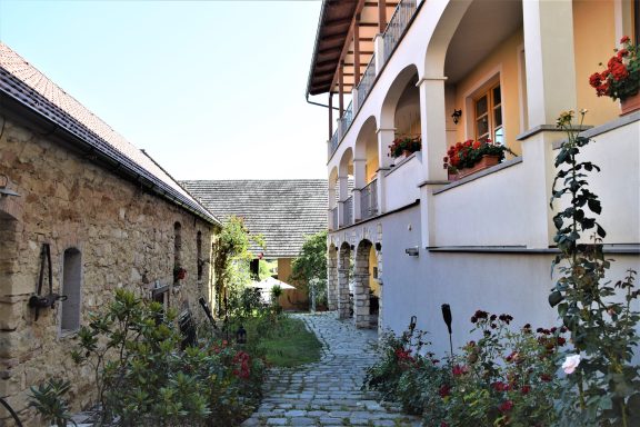 Weingut Pasler im Burgenland