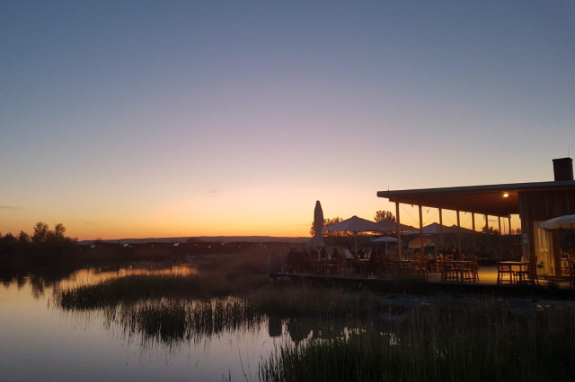 Seejungfrau Jois am Neusiedler See