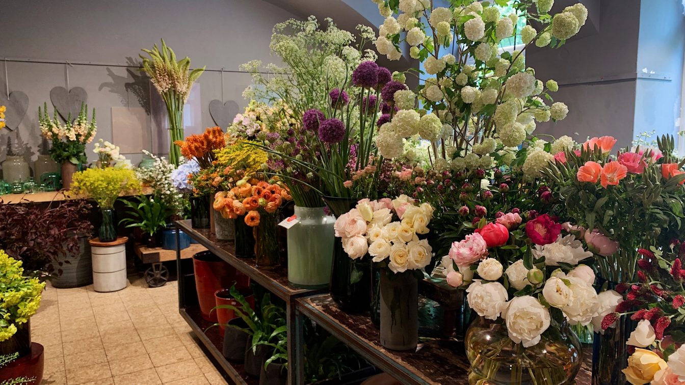 Schnittblumen im Blumenladen Doll's Blumen: Ein Blumengeschäft in Wien