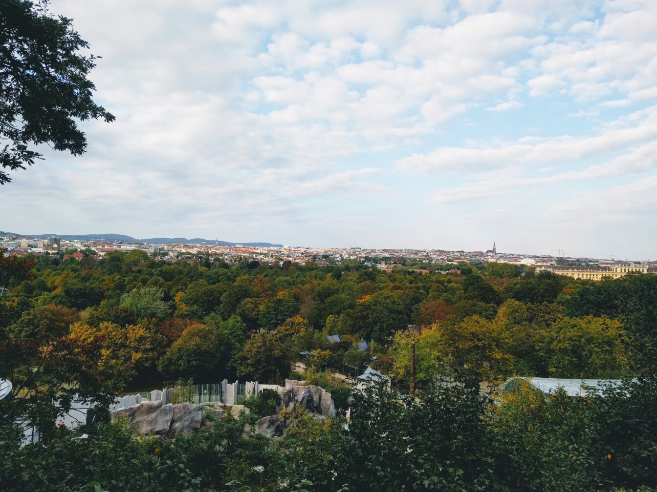 Tiergarten Schönbrunn Wien Aussicht