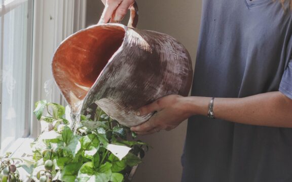 Zimmerpflanzen gießen