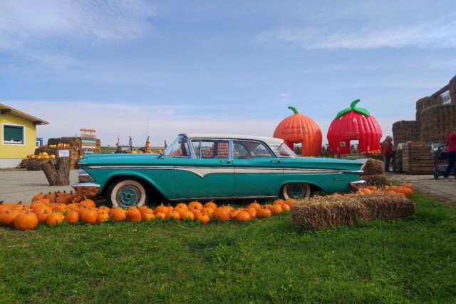 Kürbishof Wunderlich