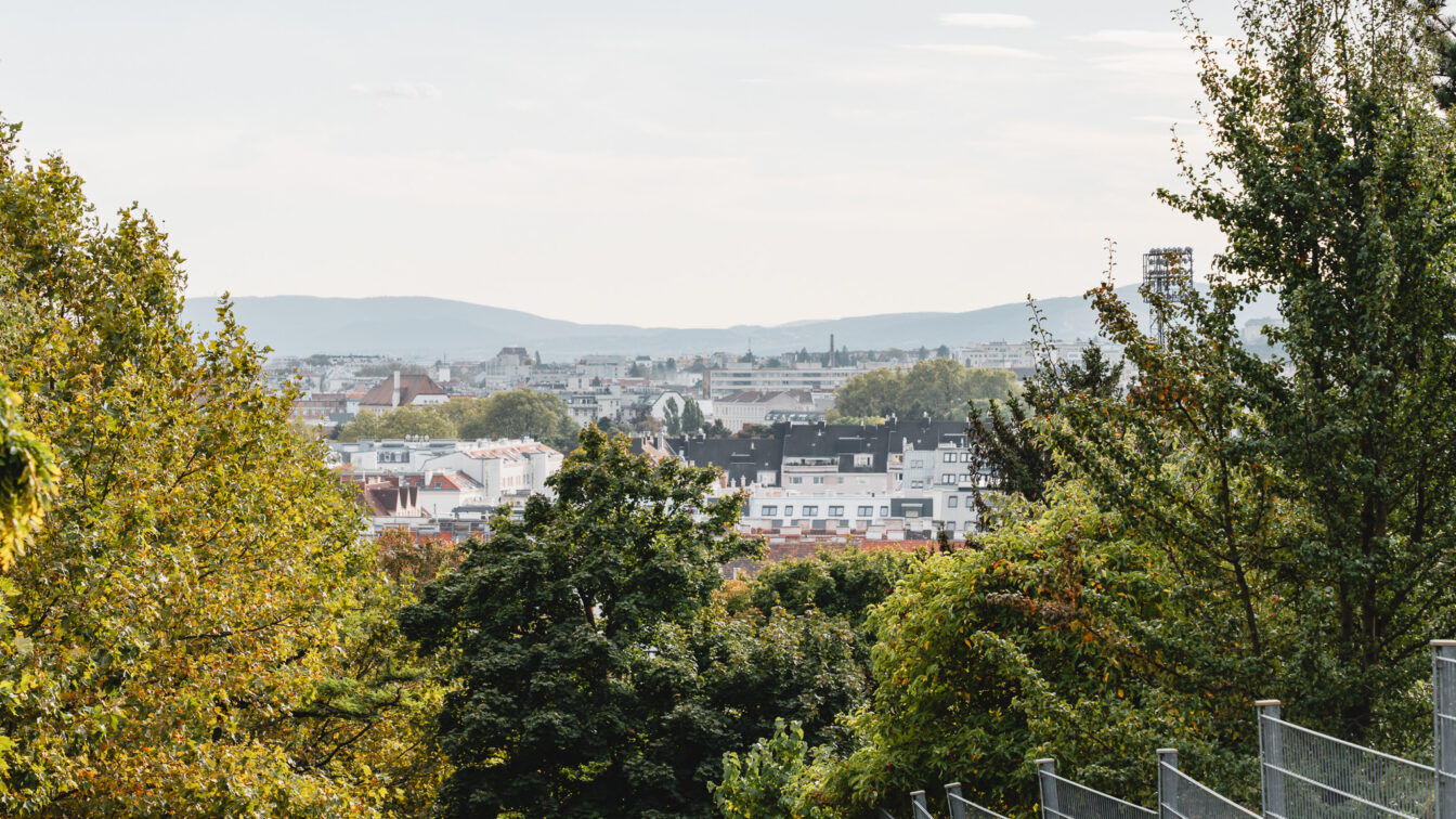 Grünbeckweg Friedhof Hernals Aussicht