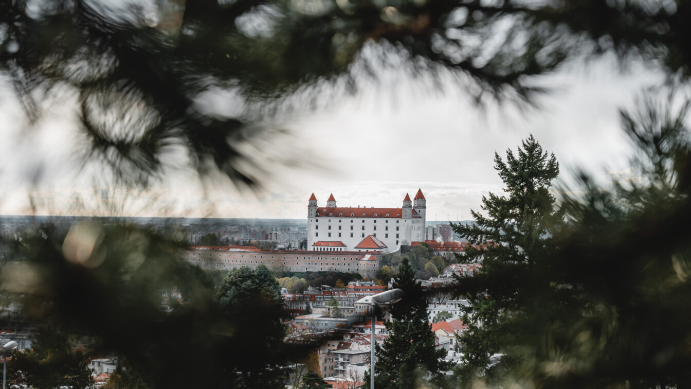 Der Blick auf die Burg Bratislava
