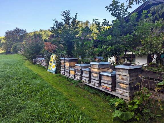Tiroler Bienenalm Thiersee Bienenstoecke Kufstein