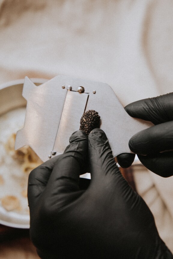 Frisch geriebener Trüffel