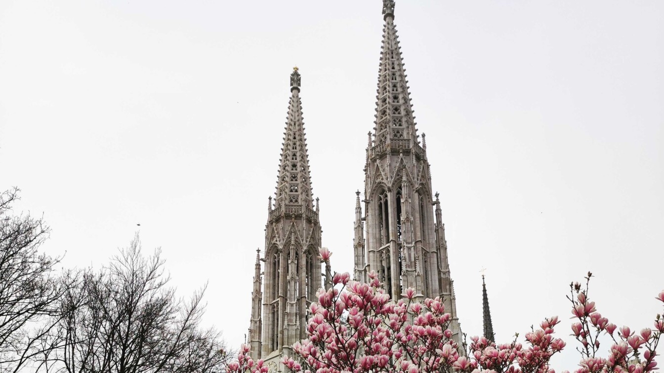 Votivkirche Frühling
