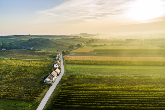 Niederösterreich Werbung
