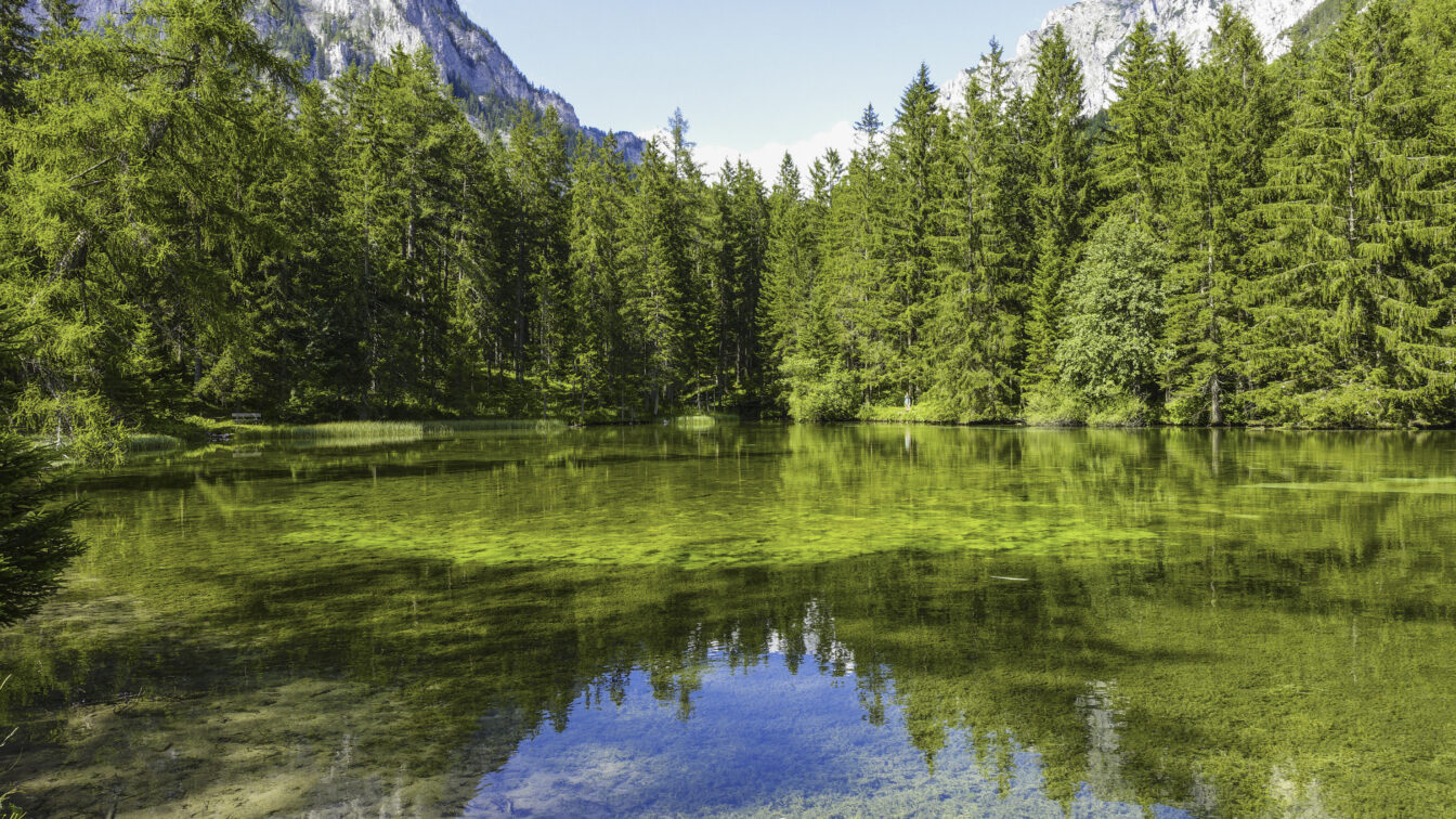 Grüner See in Tragöß mit blauem Himmel und Spiegelung