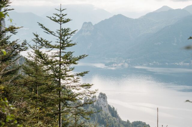 Grünberg am Traunsee bei Nebel.