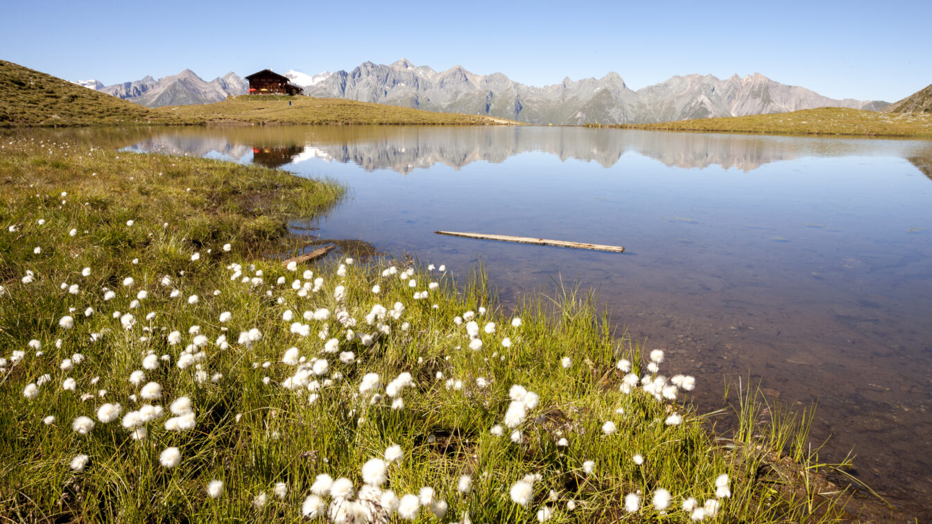 Virgental Nationalpark Hohe Tauern mit See und Frühlingsboten