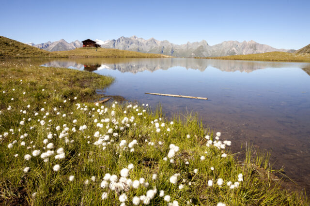 Virgental Nationalpark Hohe Tauern mit See und Frühlingsboten