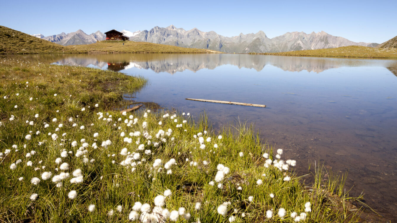 Virgental Nationalpark Hohe Tauern mit See und Frühlingsboten