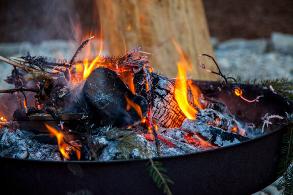 Pflanzen Wildkräuter Workshops