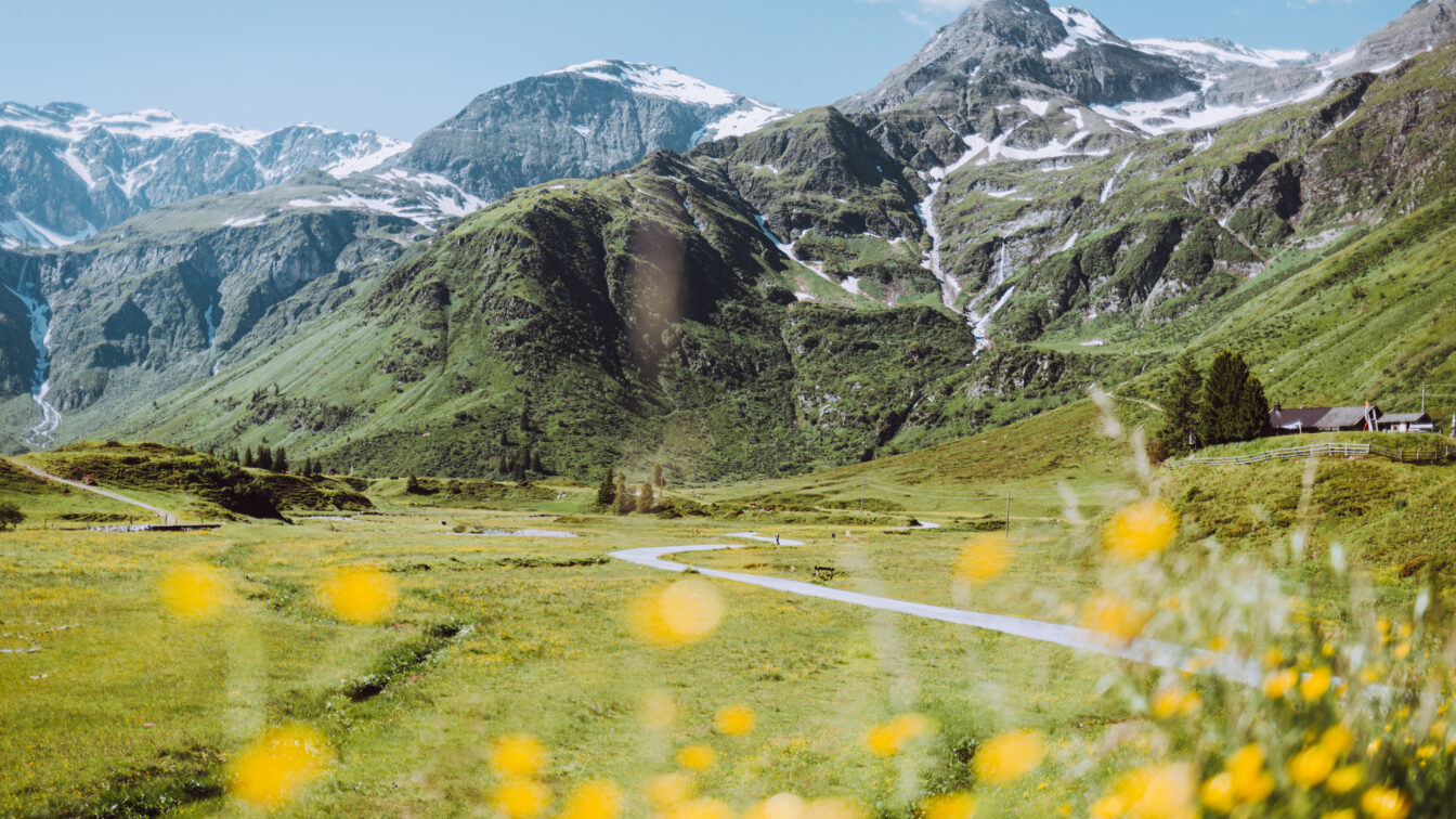 Gasteinertal im Sommer mit blühenden Wiesen und Bergpanorma