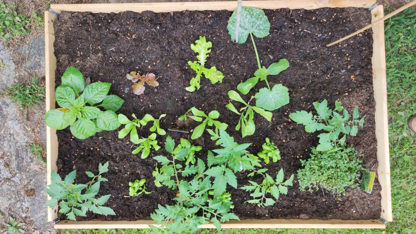 Beet bauen Anleitung