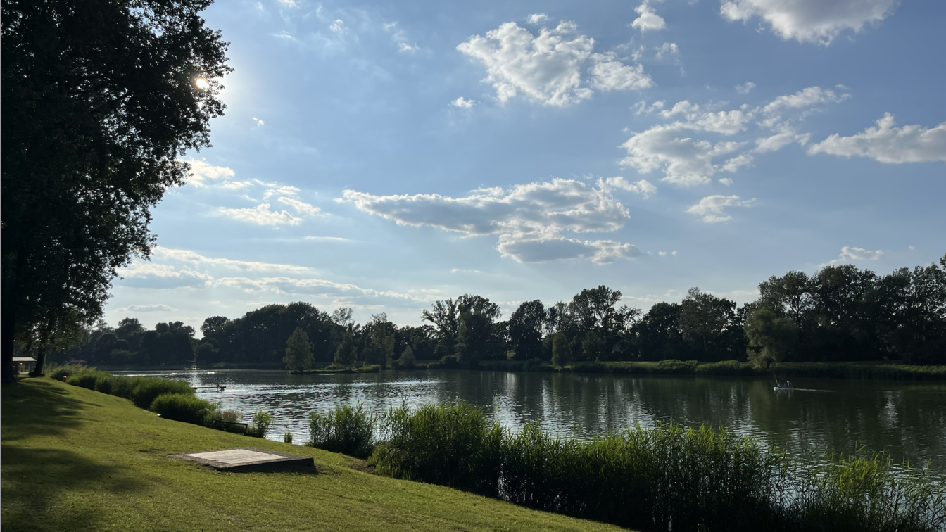 Tullner Aubad mit Wasserzugang und Floß