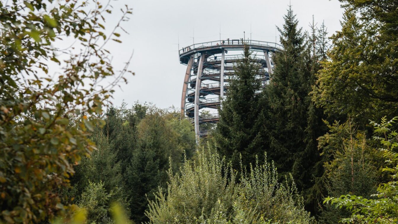 Baumwipfelpfad Salzkammergut