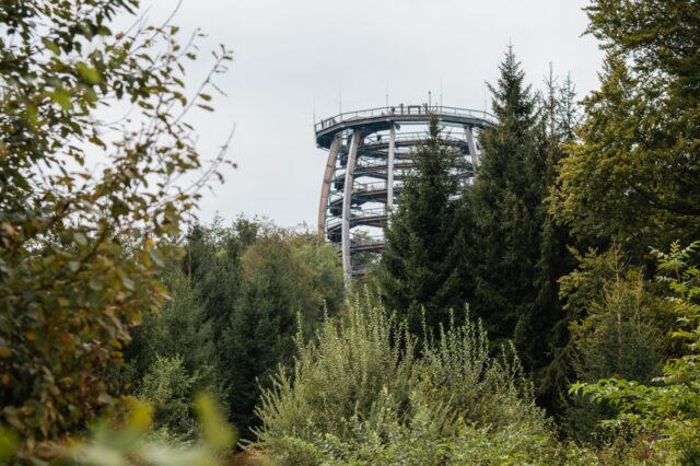 Baumwipfelpfad Salzkammergut